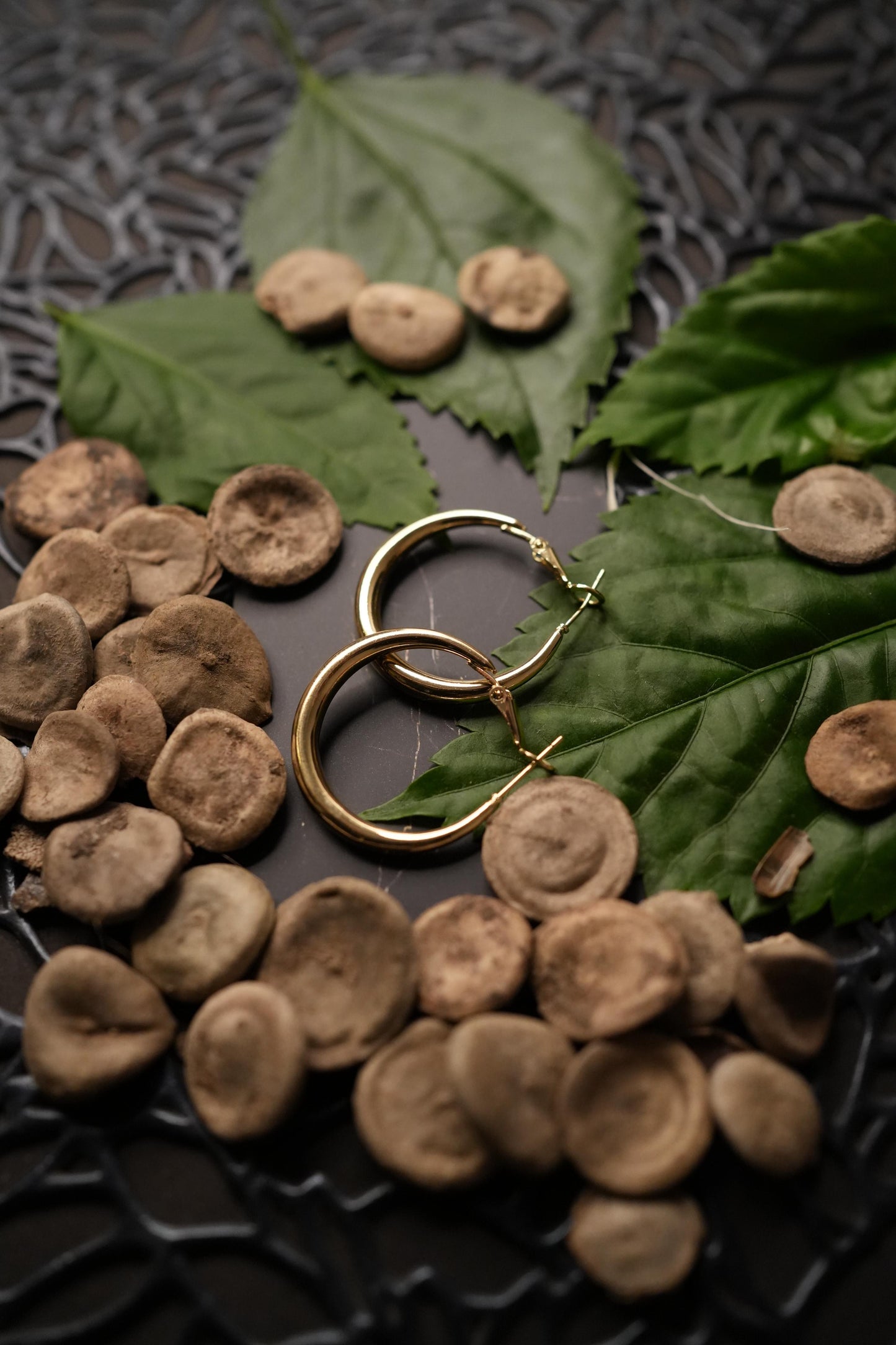 Golden hoops (medium size)