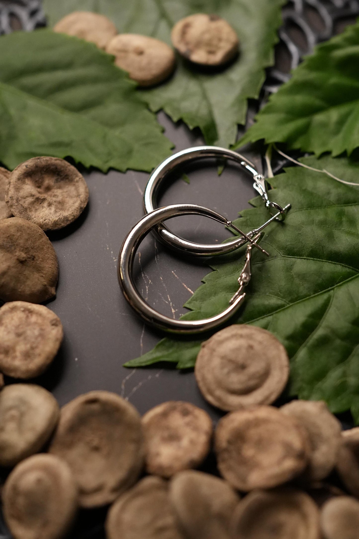 Silver hoops (medium size)