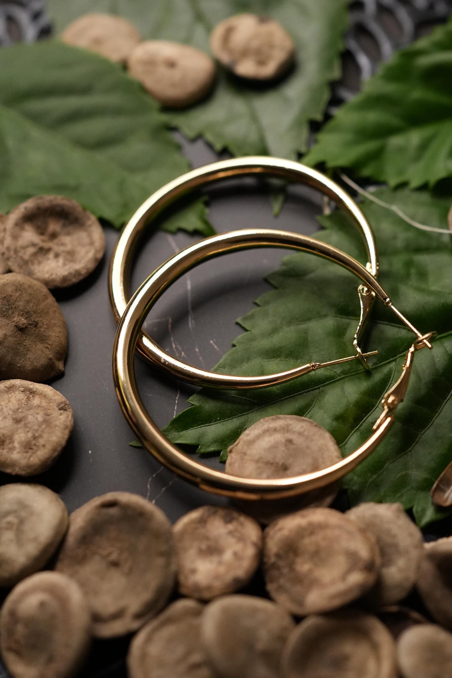 Gold hoops (big size)