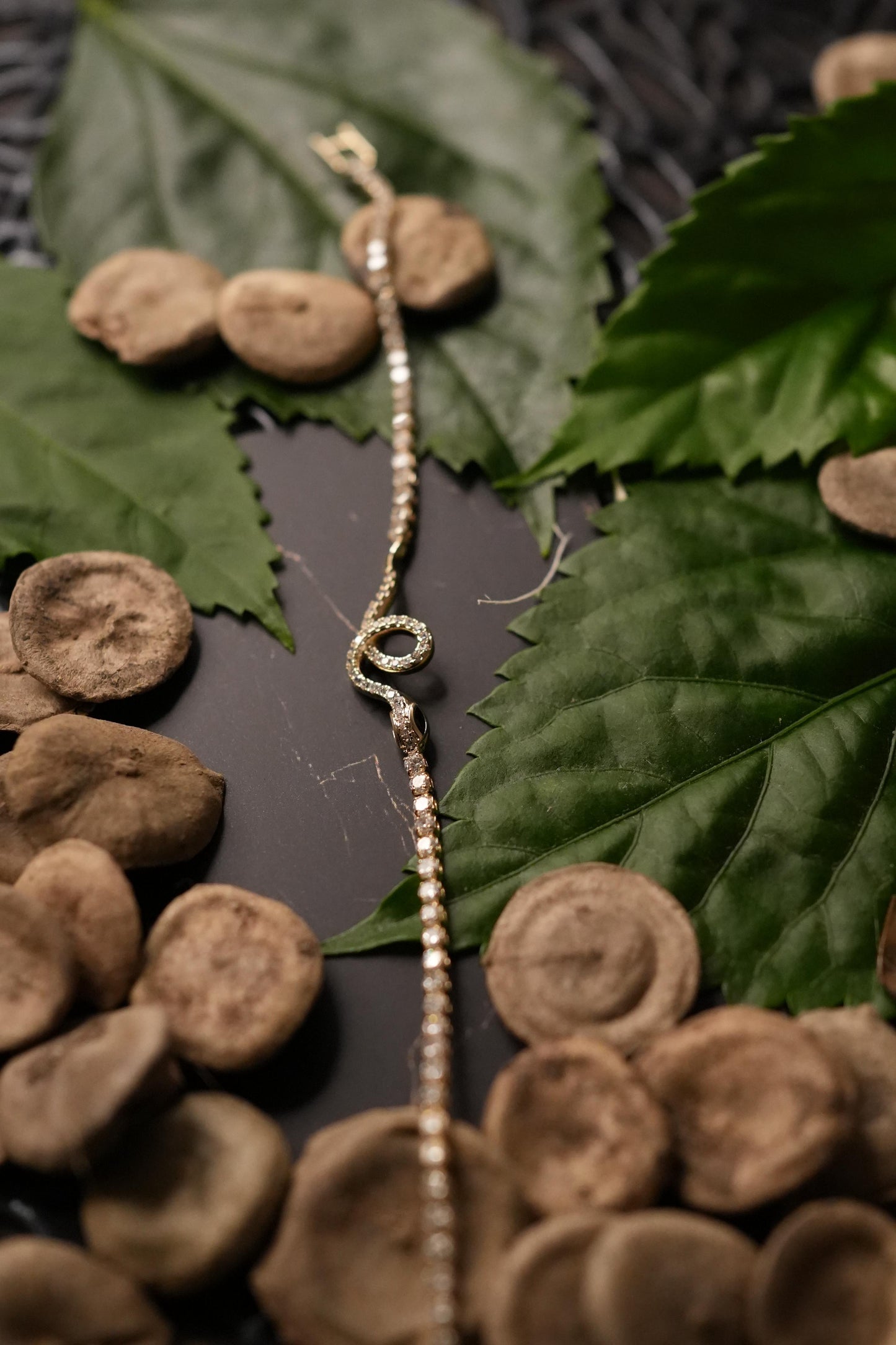 Snake bracelet