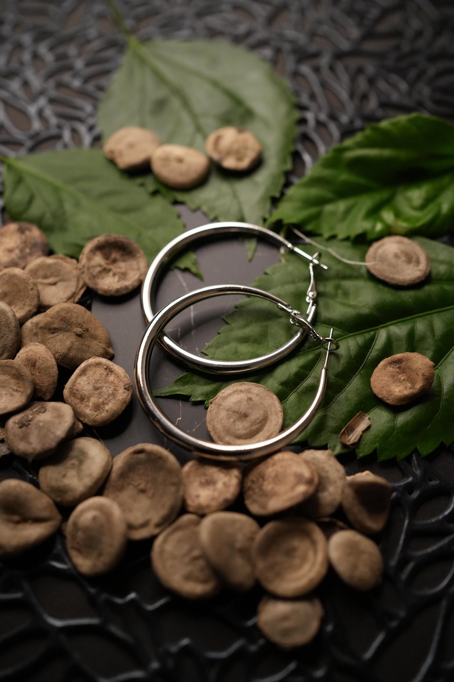 Silver hoops ( big size)