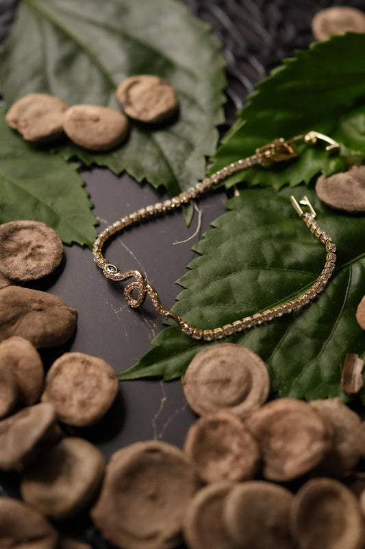 Snake bracelet